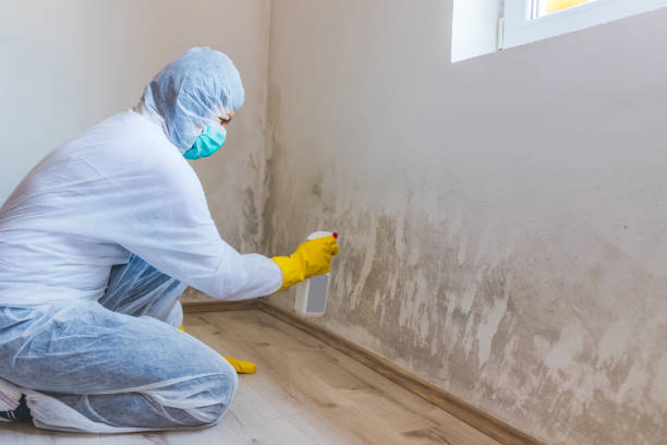 Licensed Mold Removal service in Parlin, NJ - 24 Hour Mold Removal